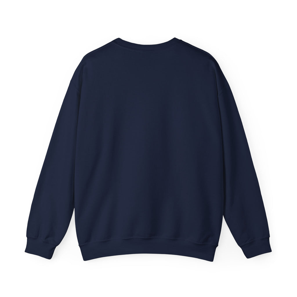 Lab Crew Sweatshirt – Colorful Science Team Crewneck